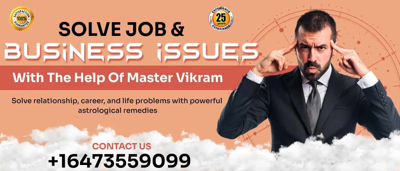 Solve Job & Business Issues